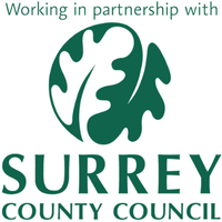 Surrey County Council Logo for Hubspot Emails (1)